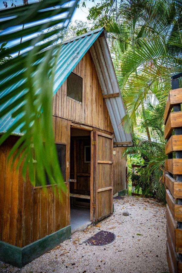 Pura Vida Mini Hostel Santa Teresa Playa Santa Teresa  Luaran gambar