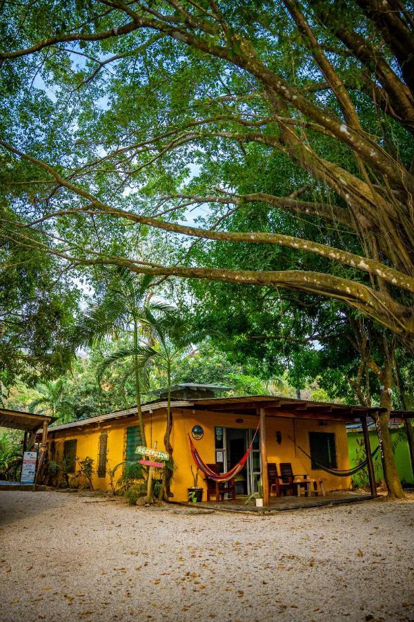 Pura Vida Mini Hostel Santa Teresa Playa Santa Teresa  Luaran gambar